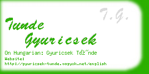 tunde gyuricsek business card